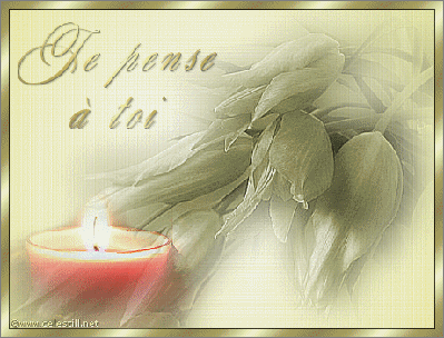 TOUS LES JOURS JE PENSE A TOI SI LOIN DE MOI, UN PETIT POEME POUR TE DIRE COMBIEN TU ME MANQUES