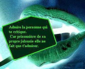                    LES MOTS SONNENT TELLEMENT JUSTE