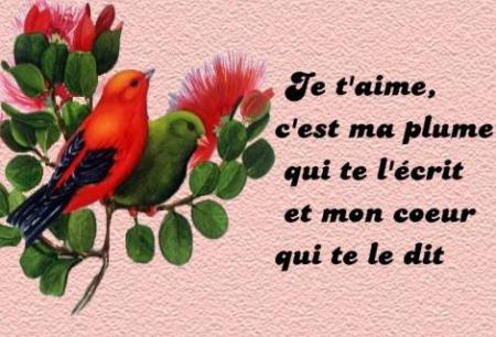            POUR TOI MON ANGE 
