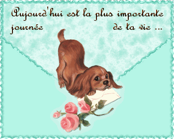  POUR TOUS LES MAMANS ET PAPAS QUI ONT PERDU UN ENFANT