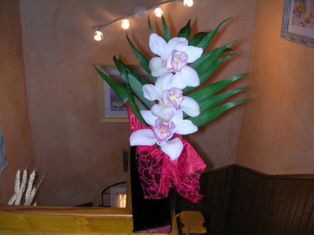 TU VOIS MON CHERI QUE TU N AI PAS OUBLIER BIEN AU CONTRAIRE, C'EST TA MAMIE  QUI T'A ACHETE CETTE BELLE ORCHIDEE ON T AIME MON POUSSIN DE TOUT NOTRE COEUR DE PARENTS