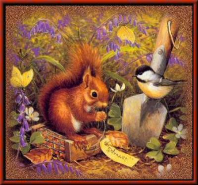  POUR TOI MON AMOUR D'ENFANT MON PETIT ECUREUIL