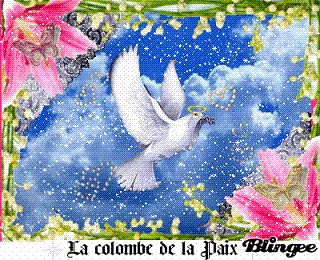   TA MAMAN QUI T ENVOI CETTE BELLE COLOMBE 