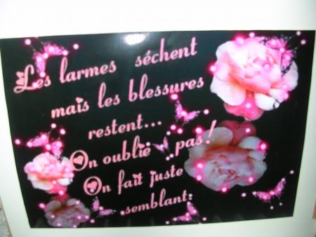  UNE PETITE CITATION MON ANGE MIS DANS TON ALBUM, BIENTOT LA SUITE 