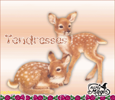   MAMAN ET PAPA QUI T'AIMENT PLUS DE TOUT