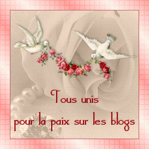               PAIX SUR LES BLOGS ET HOMMAGE A NOTRE ENFANT