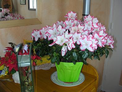 POUR TOI MON ANGE DE LA PART DE MARILYNE , LA FILLE DE LA VOISINE DE TA MAMIE ELLE NE TE CONNAISSANT PAS ET TU VOIS LA GENTILLESSE 