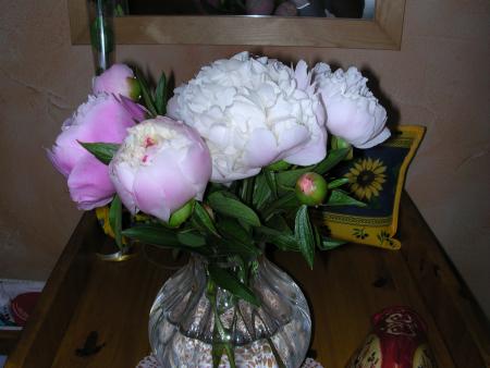 JE REMERCIE UNE DE MES VOISINE D' ETRE VENUE M'APPORTER CE BOUQUET POUR TOI MON ANGE 