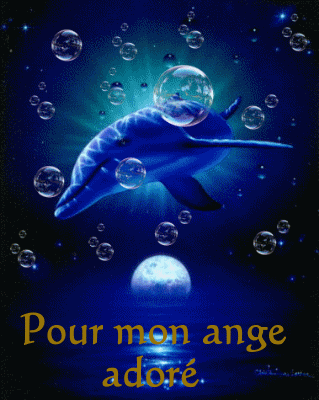        JE SAIS QUE TU ADORAIS LES DAUPHINS JE TE PROMETS D'EN TOUCHER UN POUR TOI DANS LE MIDI TU PEUX ALLER NAGER AVEC EUX CELA ME TIENT A COEUR MON ANGE