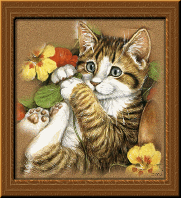  MON PETIT CHATON JE NE T'OUBLIE PAS