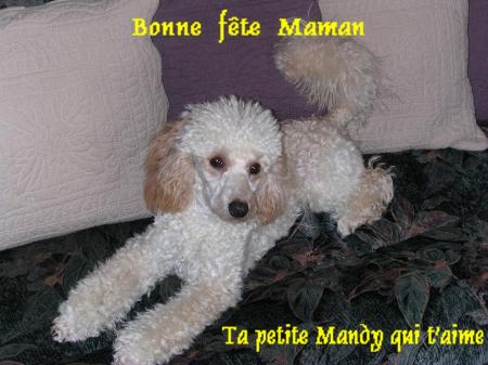 Pour ma maman 