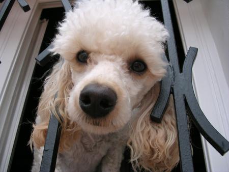 MANDY T'EMBRASSE AUTANT QUE NOUS MON ANGE