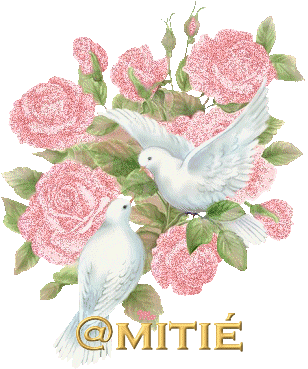 MERCI A TOUS DE VOTRE GENTILLESSE , DE VOTRE SOUTIEN , L 'AMITIEE VIRTUELLE EXISTE LA PREUVE