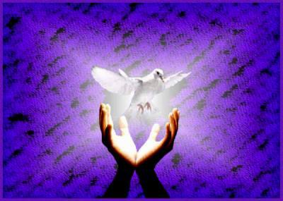   MON ANGE JE T'ENVOIE VERS TA LUMIERE CETTE COLOMBE QU'ELLE T'APPORTE LA PAIX DANS TON COEUR.