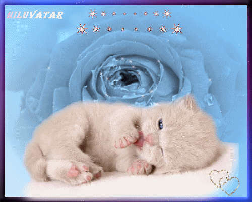 MON CHATON PETIT SURNOM QUE JE TE DONNAIS AUSSI .