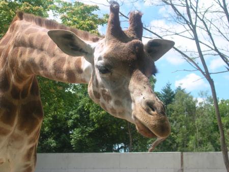 UN PETIT ENFANT LUI TEND UN MORCEAU DE PAIN