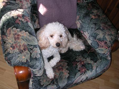 MON ANGE MANDY EST COMME MOI  TRES SOUVENT DANS TA CHAMBRE