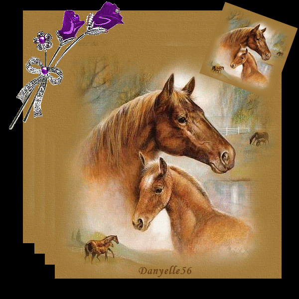             REGARDE MON ANGE COMME CETTE MAMAN PROTEGE SON PETIT POULAIN