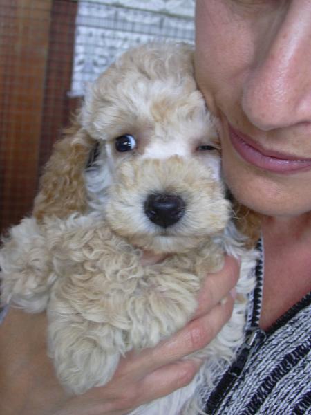 MON ANGE JE NE T'AVAIS PAS ENVOYER MANDY BEBE ELLE  AVAIT A PEINE 2 MOIS GARDE LA PRES DE TOI JE T'AIME MON POUSSIN