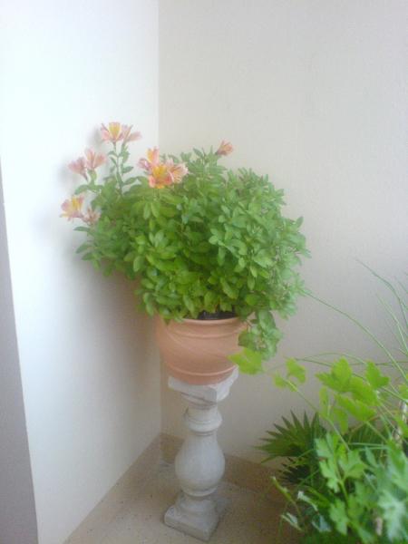 MERCI DE TOUT COEUR CHRISTINE CELA NOUS TOUCHE VRAIMENT