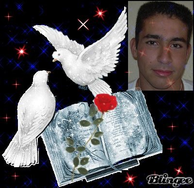             UN JOUR VIENDRA OU NOUS SERONS TOUS LES TROIS MON POUSSIN 