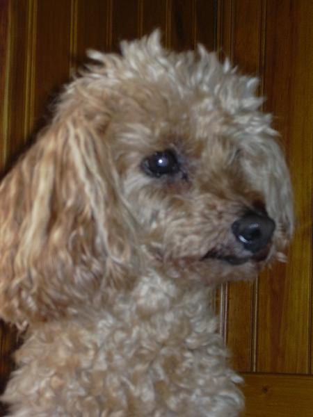 TA PETITE CANDY  EST PRES DE TOI 