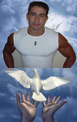  UNE COLOMBE TE DONNE UN MESSAGE D'AMOUR DE TA MAMAN JE T'AIME FORT MON POUSSIN LA VIE EST DURE SANS TOI A MES COTES