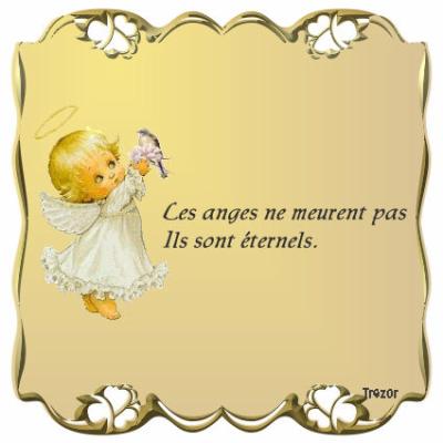 POUR NOUS MON STEPH TU RESTERAS A JAMAIS ETERNEL NOUS T AIMERONS TOUTE NOTRE VIE UN ENFANT RIEN NE PEU LE REMPLACE,  ON NE POURRA QU'ENCORE PLUS T' AIMER