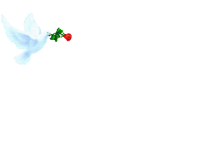 POUR TOI CETTE COLOMBE MON GARCON JE T'AIME TANT