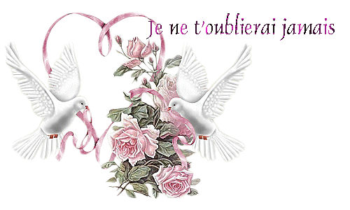 MON ANGE CE MESSAGE EST POUR TOI , LES COLOMBES TE L'APPORTENT DANS QUELQUES INSTANTS.