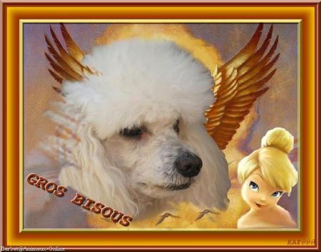 POUR TOI MON PETIT ANGE