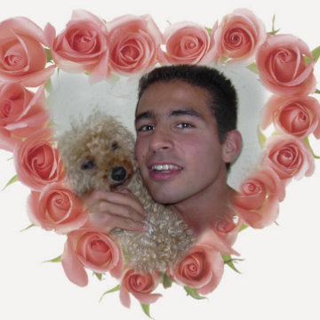 MON STEPH SI SEULEMENT JE POUVAIS FAIRE UN VOEU