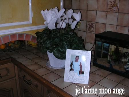  CATHY ET DEDE NE T'ONT PAS OUBLIER MON ANGE