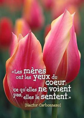POUR TOI MON PETIT AMOUR, J'AI L'INTUITION QUAND QUELQUE CHOSE VA ARRIVER, J AURAI PREFERE NE PAS AVEC D'INSTINCT CE JOUR LA 