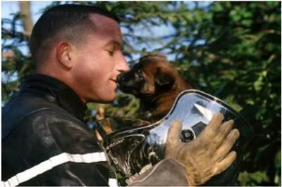 POUR TOI MON ANGE TU AIMAIS LA BRIGADE ILS T'OFFRENT UN POEME