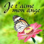 TA MAMAN QUI PENSE TOUS LES JOURS A TOI