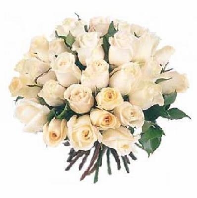 LE BLANC EST LA PURETE COMME TOI MON PETIT CHATON