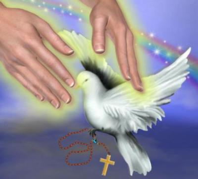 LA COLOMBE MON ANGE QU'ELLE T'APPORTE LA PAIX DE TON AME