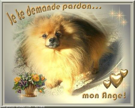 DE NE PAS AVOIR PU TE SAUVER DE CE MAL ETRE TA MAMAN QUI T'AIME