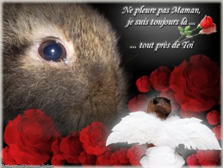 TA MAMAN QUI T'AIME, CETTE PETITE CARTE TU L'AURAIS CHOISI POUR MOI