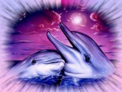 Tu aimais tant les animaux, eux ne te trahissent jamais