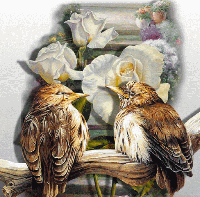      POUR TOI MON ANGE DEUX PETITS OISEAUX QUI VONT PARTIR DE REJOINDRE