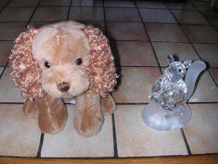 TON PETIT CANICHE  ET UN ECUREUIL COMME J'AIMAIS T'APPELER