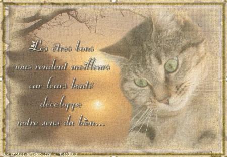  CE  PETIT MOT LOUMA RIEN QUE POUR VOUS, VOTRE BONTE A AIDER LES GENS DANS LA PEINE, ET SURTOUT DE NE PAS JUGER LES GENS,NE CHANGER PAS MERCI POUR TOUT LES BEAUX TEXTES 