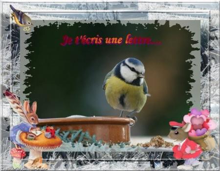         POUR TOI MON ANGE UNE MESANGE SIGNE DE NOUVELLE  DU CIEL